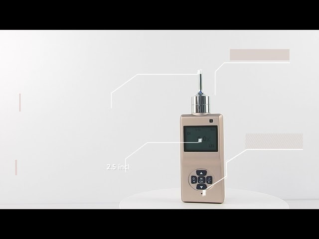 চীন ES20B Handheld gas detector for H2O2, 0-500ppm, with Built-in high performance suction pump বিক্রির জন্য